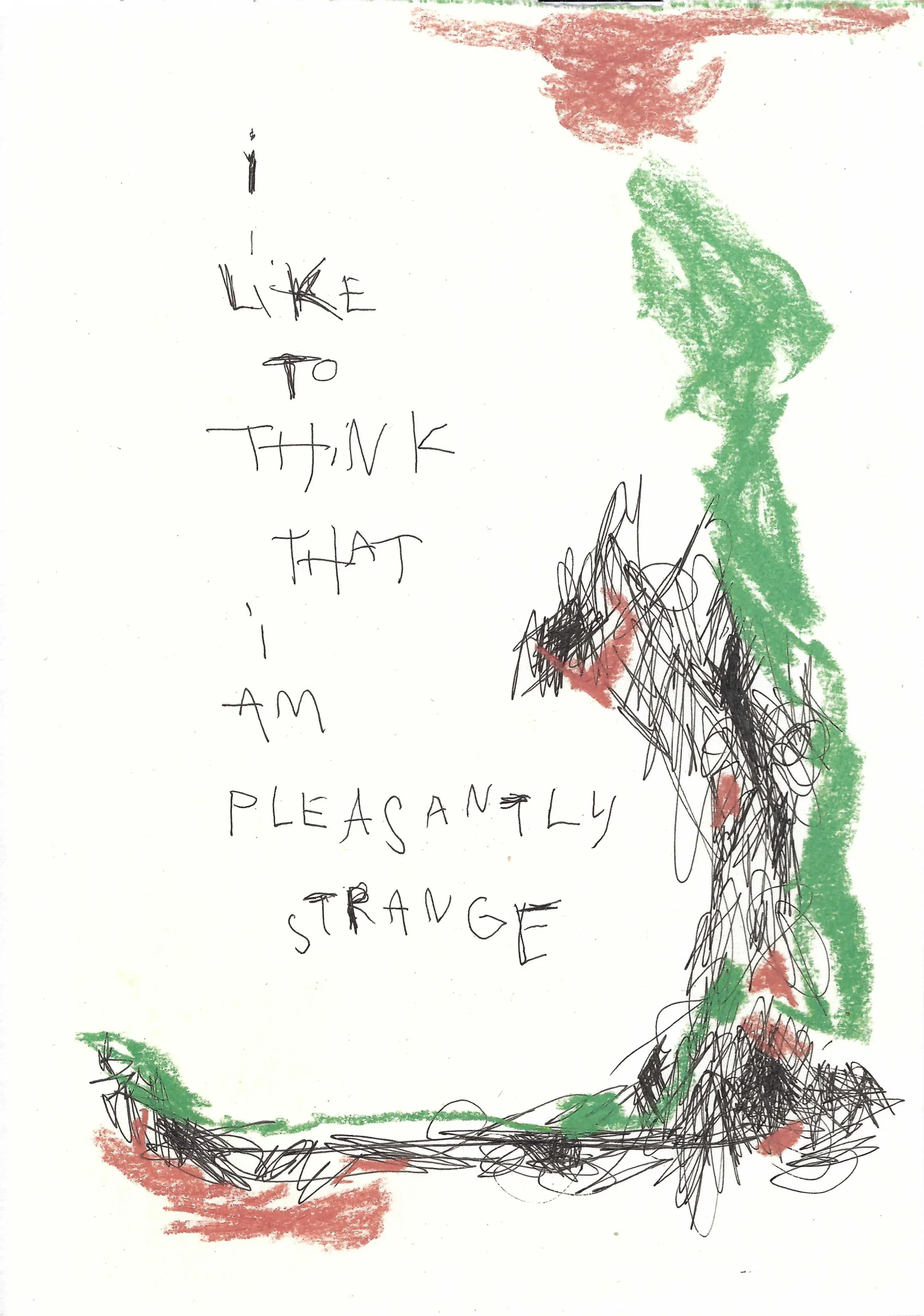 i like to think that i am pleasantly strange