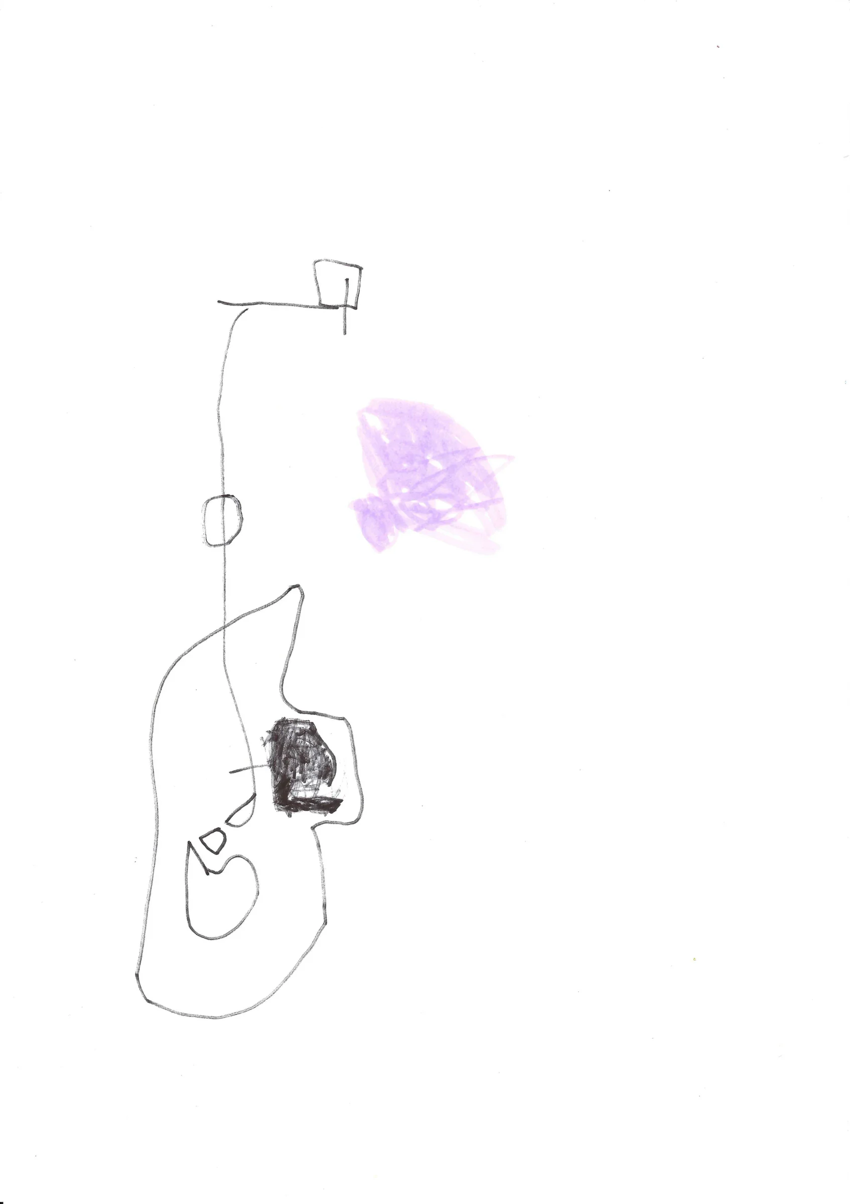 droodle met paars