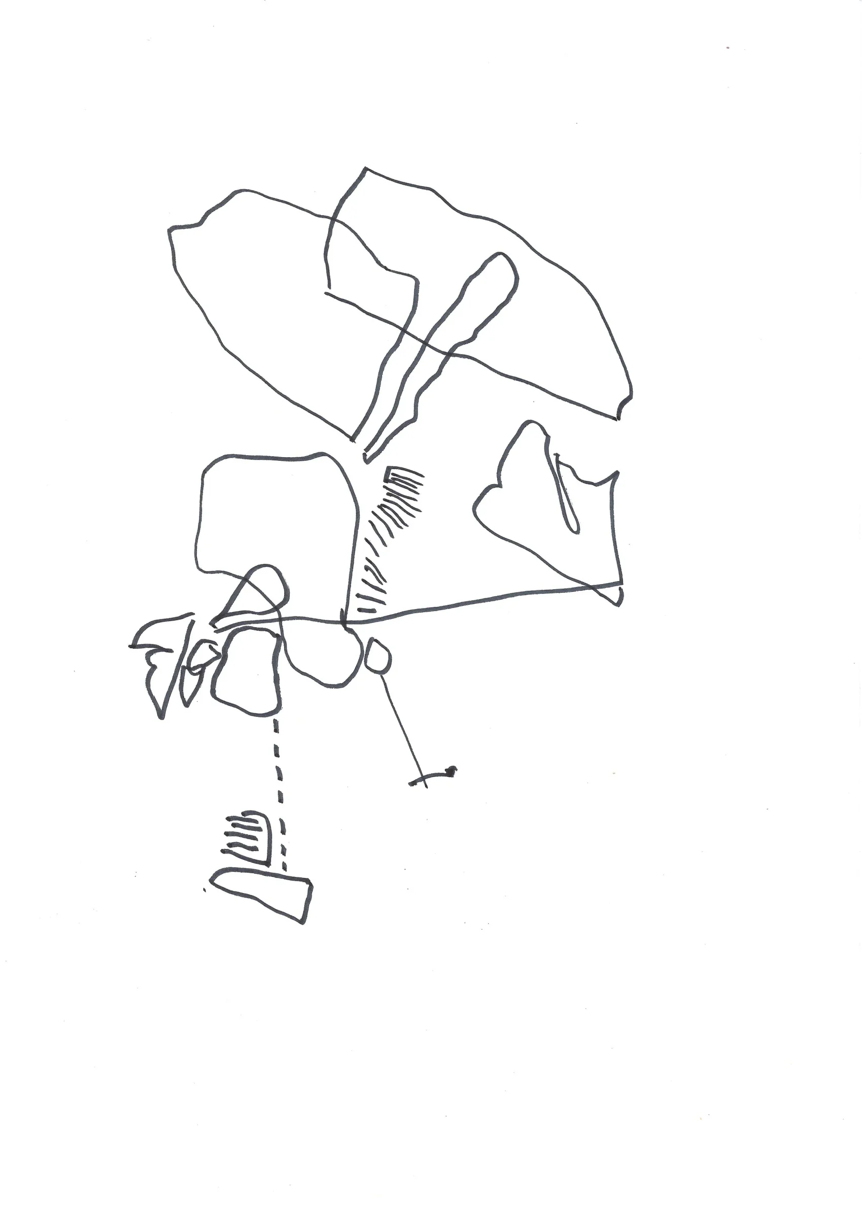 droodle met streepjes