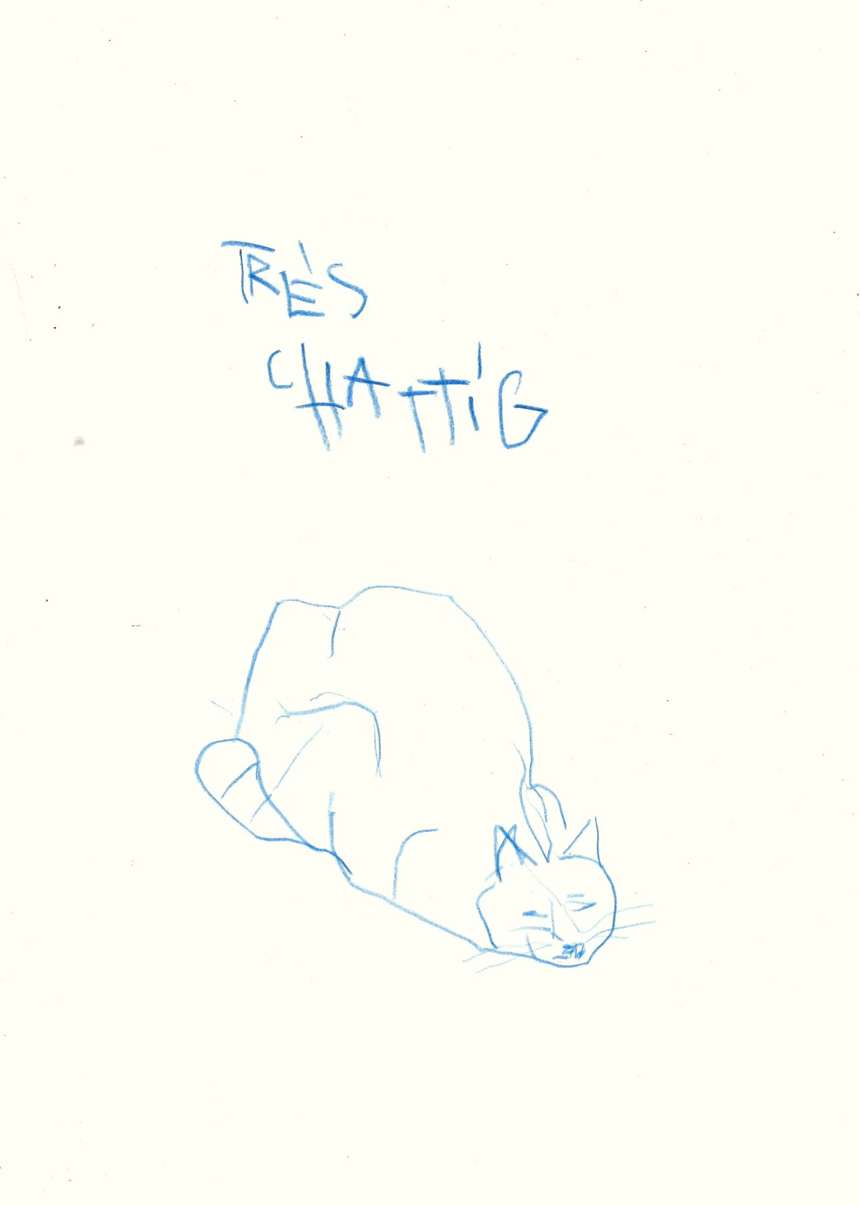 très chattig