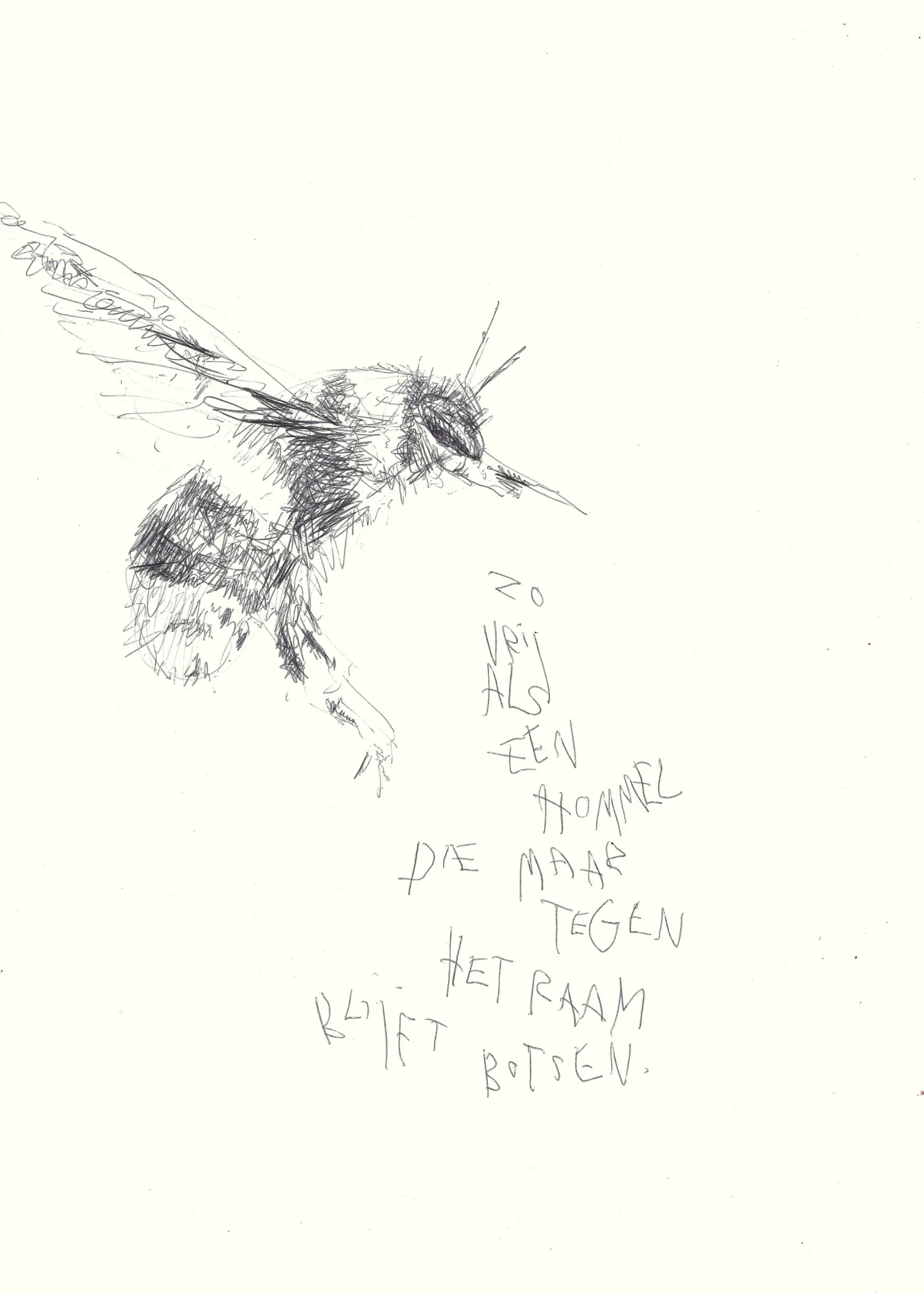 hommel