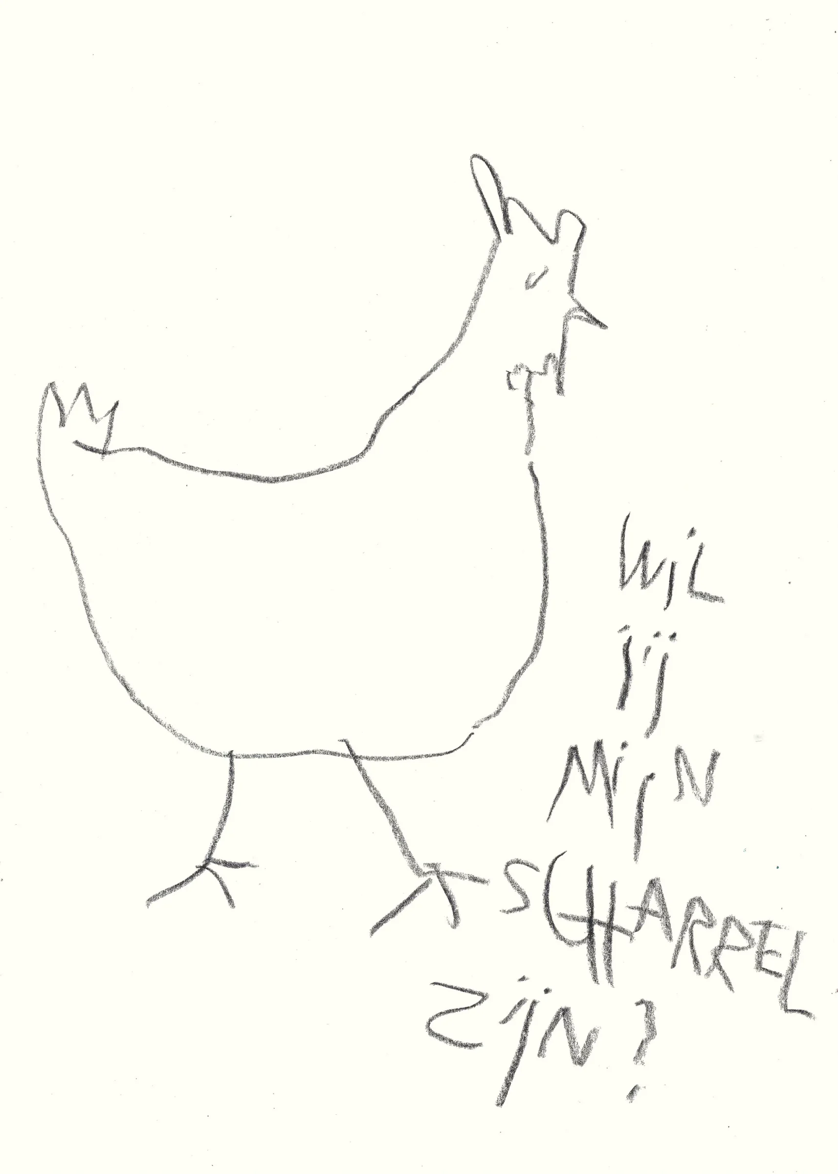 scharrel