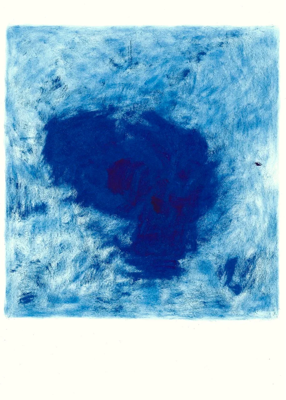 op zoek naar oever 19 (blauw)