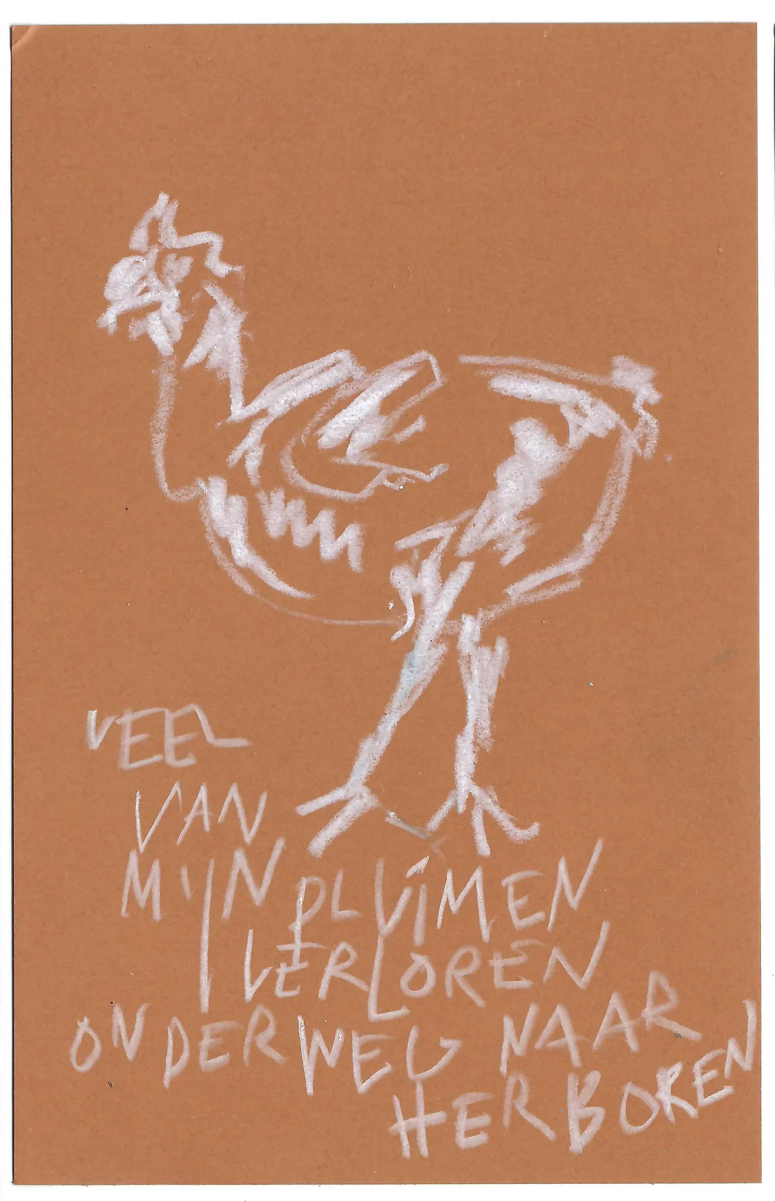 veel van mijn pluimen verloren